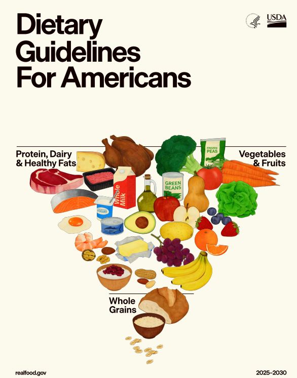 De nieuwe Amerikaanse voedselpiramide, USDA, januari 2026